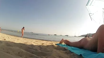 Seksi Hollandalı