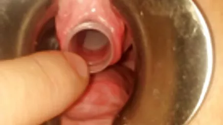 et kanatları türkçe alt yazılı anal pornolar 05