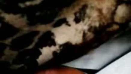 Bom Bom altyazılı türkçe sexs